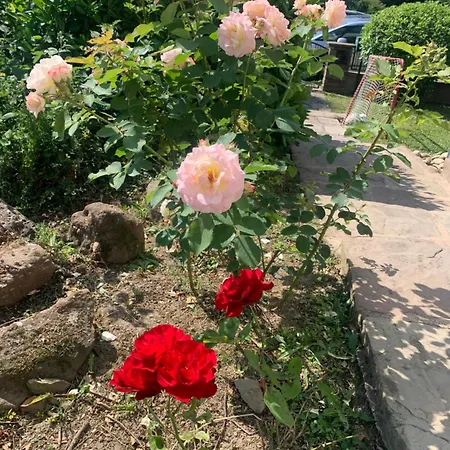 Spacieuse Pour Familles Ou Groupes 5 Pers Bebe Kwatera prywatna *