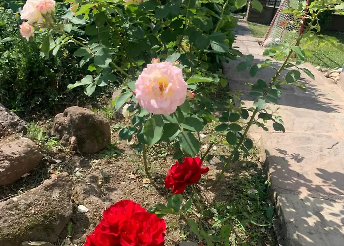 Spacieuse Pour Familles Ou Groupes 5 Pers Bebe Homestay *